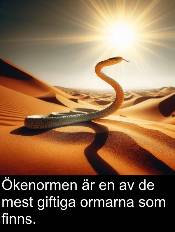 finns: Ökenormen är en av de mest giftiga ormarna som finns.
