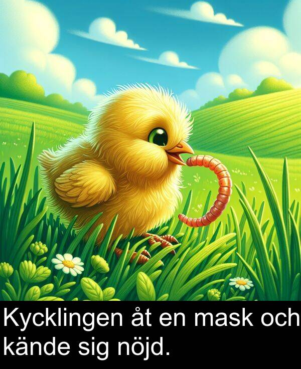 och: Kycklingen åt en mask och kände sig nöjd.