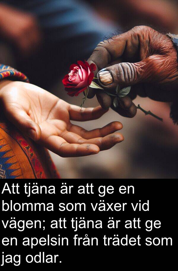 vägen: Att tjäna är att ge en blomma som växer vid vägen; att tjäna är att ge en apelsin från trädet som jag odlar.
