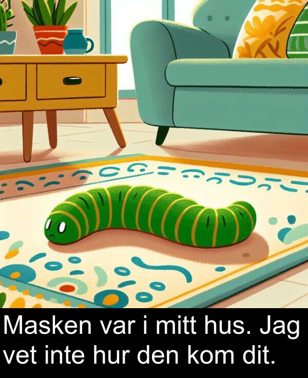vet: Masken var i mitt hus. Jag vet inte hur den kom dit.