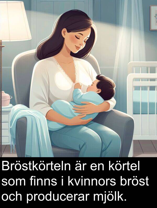 mjölk: Bröstkörteln är en körtel som finns i kvinnors bröst och producerar mjölk.