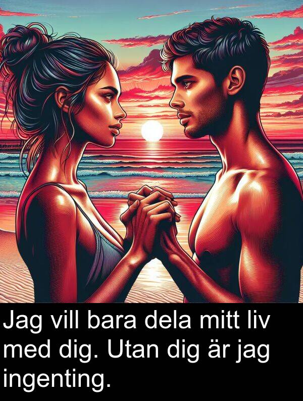 bara: Jag vill bara dela mitt liv med dig. Utan dig är jag ingenting.