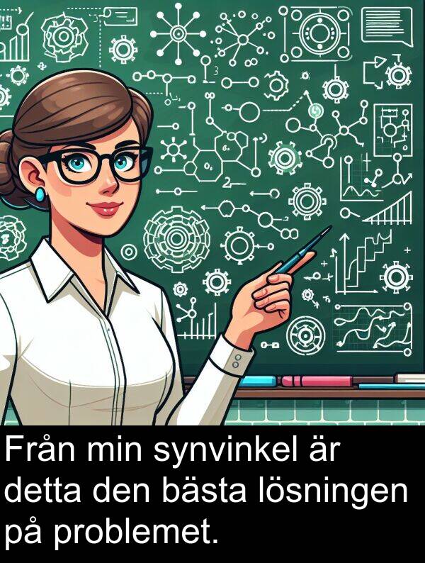synvinkel: Från min synvinkel är detta den bästa lösningen på problemet.