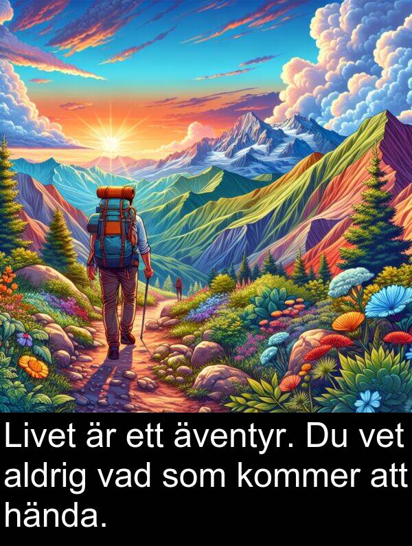 äventyr: Livet är ett äventyr. Du vet aldrig vad som kommer att hända.