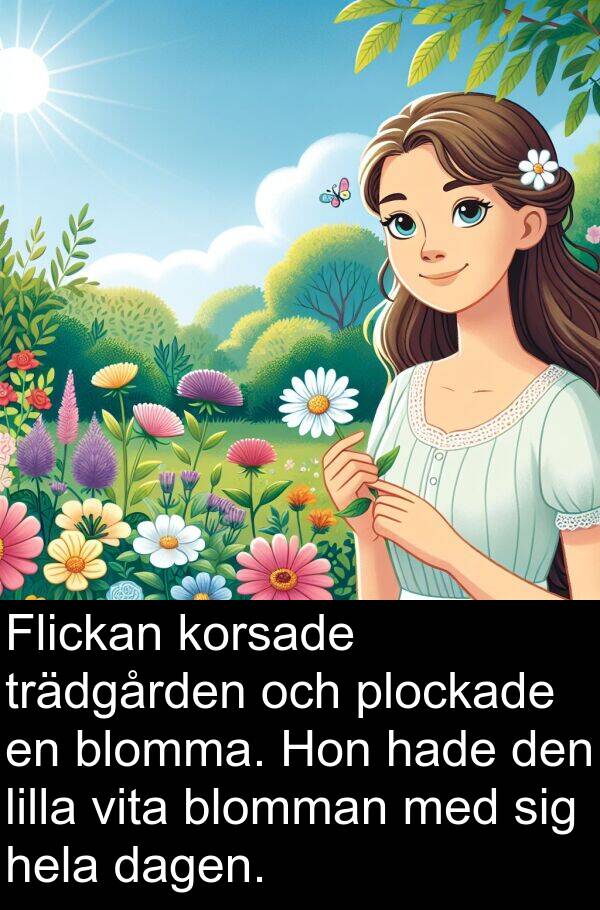 vita: Flickan korsade trädgården och plockade en blomma. Hon hade den lilla vita blomman med sig hela dagen.