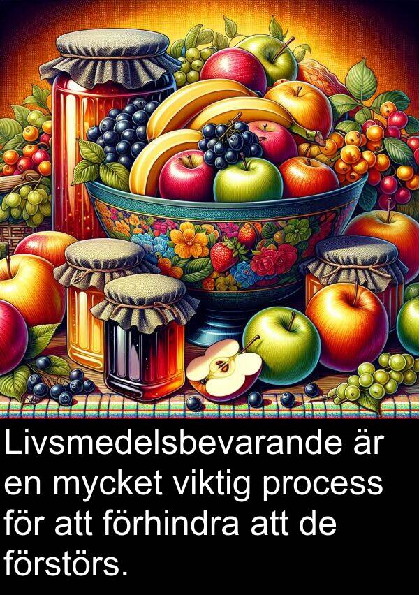 viktig: Livsmedelsbevarande är en mycket viktig process för att förhindra att de förstörs.
