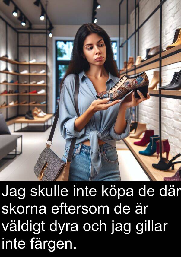 färgen: Jag skulle inte köpa de där skorna eftersom de är väldigt dyra och jag gillar inte färgen.