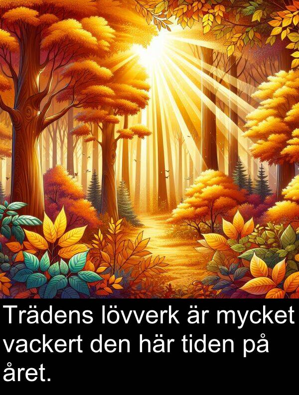lövverk: Trädens lövverk är mycket vackert den här tiden på året.