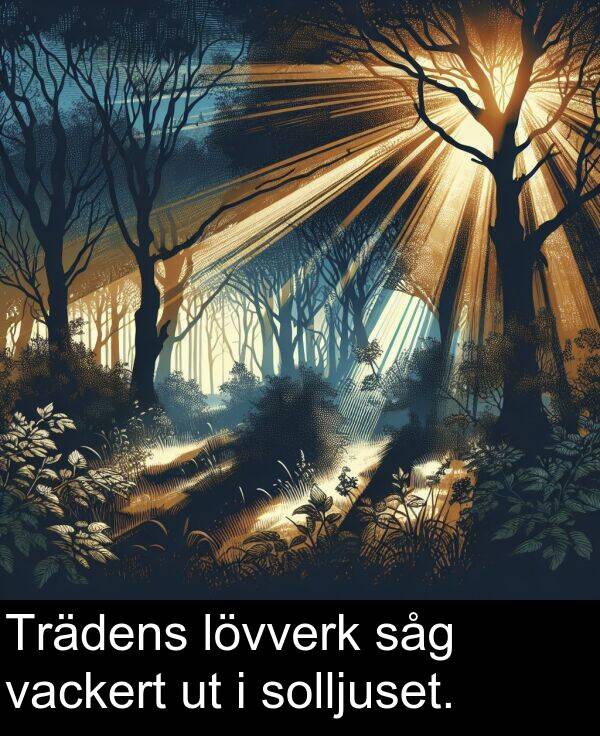 lövverk: Trädens lövverk såg vackert ut i solljuset.