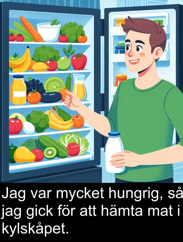 mat: Jag var mycket hungrig, så jag gick för att hämta mat i kylskåpet.
