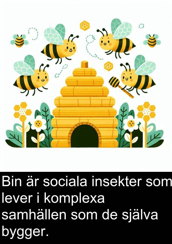 samhällen: Bin är sociala insekter som lever i komplexa samhällen som de själva bygger.