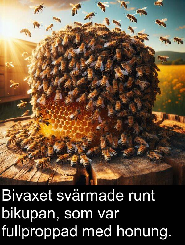 honung: Bivaxet svärmade runt bikupan, som var fullproppad med honung.