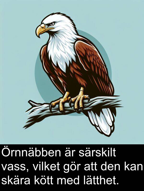 vilket: Örnnäbben är särskilt vass, vilket gör att den kan skära kött med lätthet.