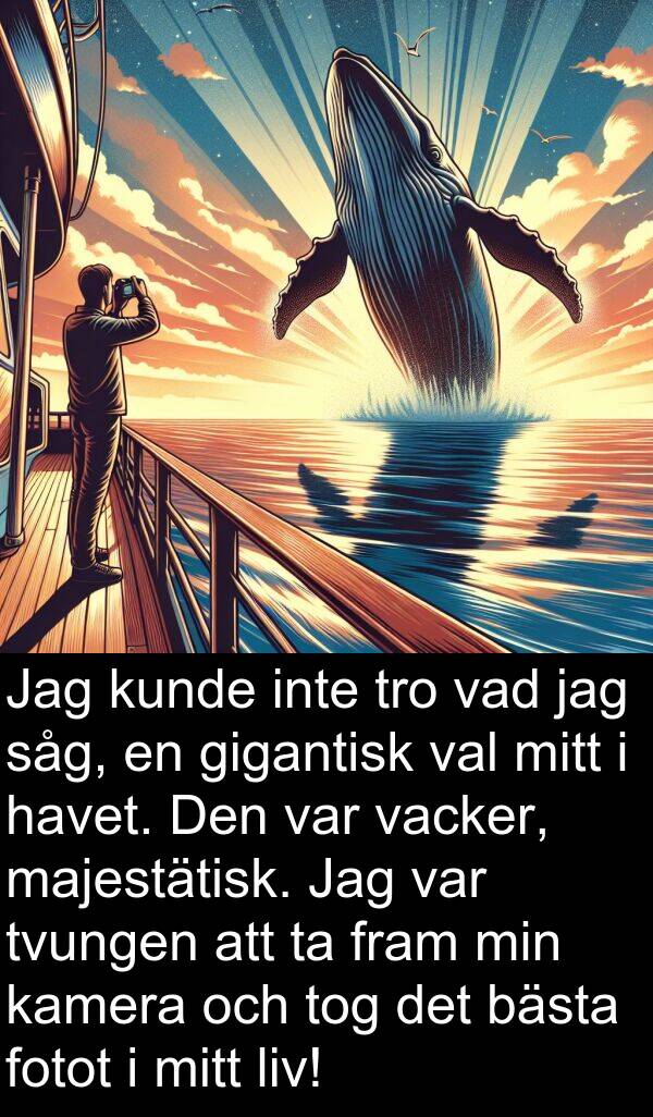 val: Jag kunde inte tro vad jag såg, en gigantisk val mitt i havet. Den var vacker, majestätisk. Jag var tvungen att ta fram min kamera och tog det bästa fotot i mitt liv!