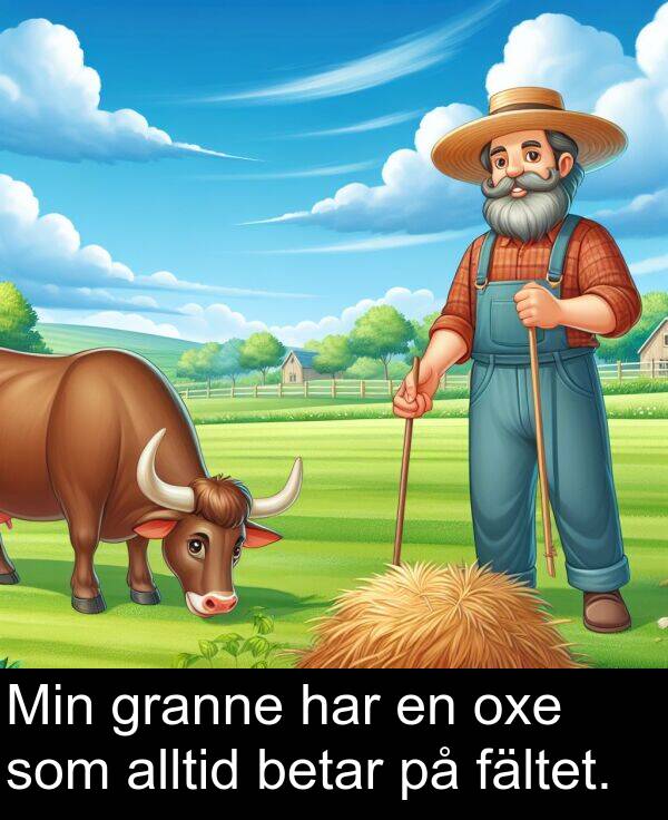 som: Min granne har en oxe som alltid betar på fältet.