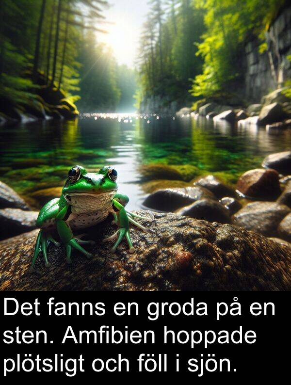 hoppade: Det fanns en groda på en sten. Amfibien hoppade plötsligt och föll i sjön.