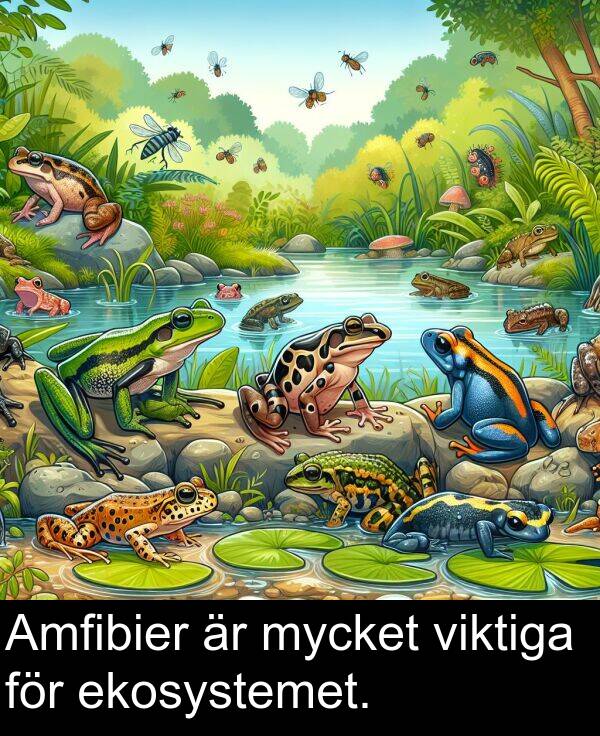 viktiga: Amfibier är mycket viktiga för ekosystemet.