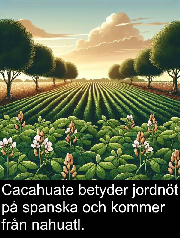 nahuatl: Cacahuate betyder jordnöt på spanska och kommer från nahuatl.