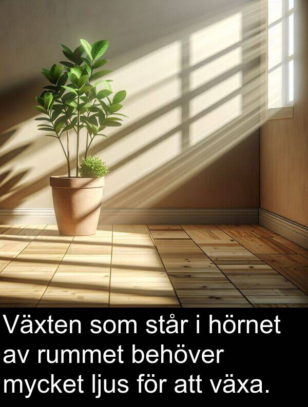 behöver: Växten som står i hörnet av rummet behöver mycket ljus för att växa.