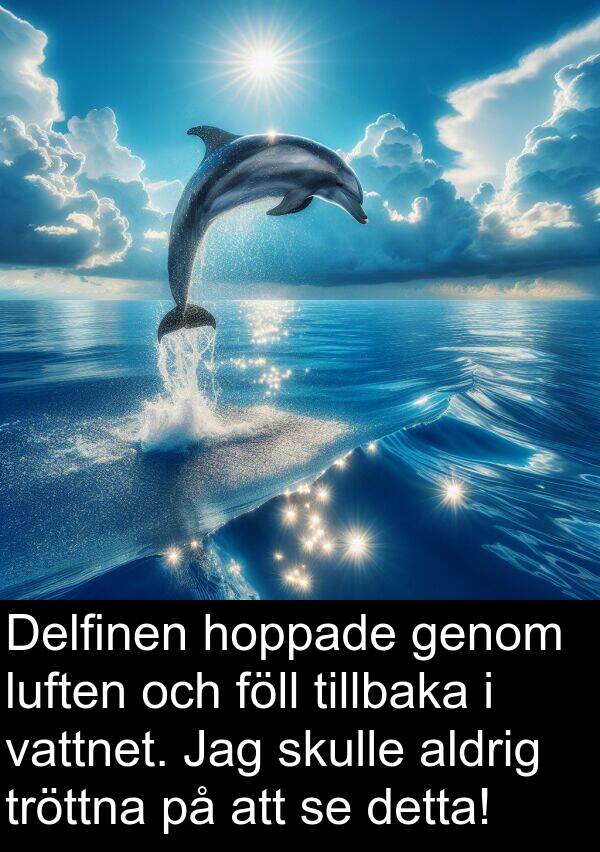 hoppade: Delfinen hoppade genom luften och föll tillbaka i vattnet. Jag skulle aldrig tröttna på att se detta!