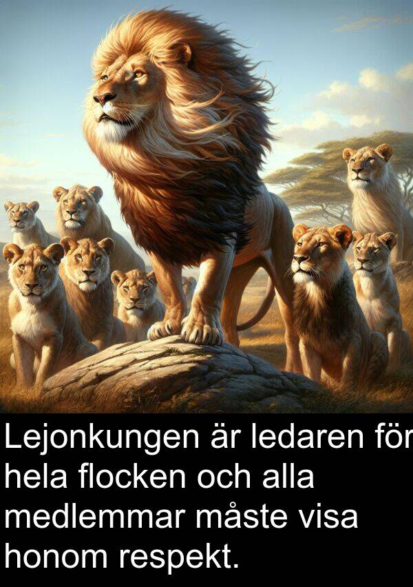 medlemmar: Lejonkungen är ledaren för hela flocken och alla medlemmar måste visa honom respekt.