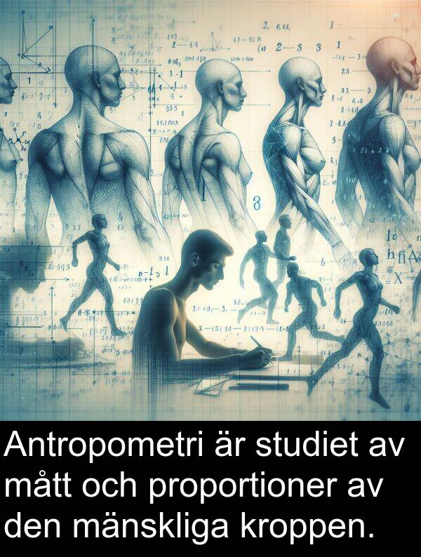 mänskliga: Antropometri är studiet av mått och proportioner av den mänskliga kroppen.