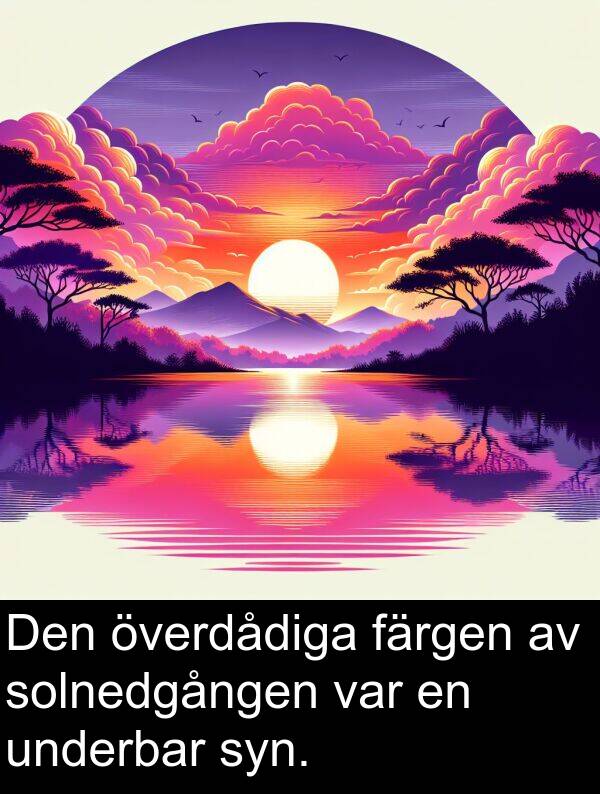 färgen: Den överdådiga färgen av solnedgången var en underbar syn.