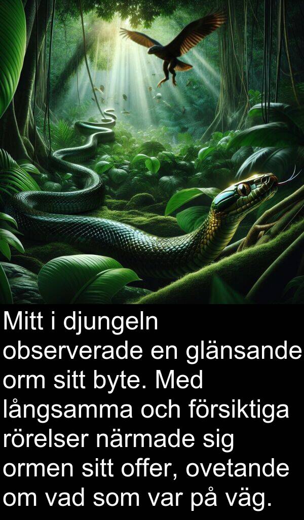 väg: Mitt i djungeln observerade en glänsande orm sitt byte. Med långsamma och försiktiga rörelser närmade sig ormen sitt offer, ovetande om vad som var på väg.