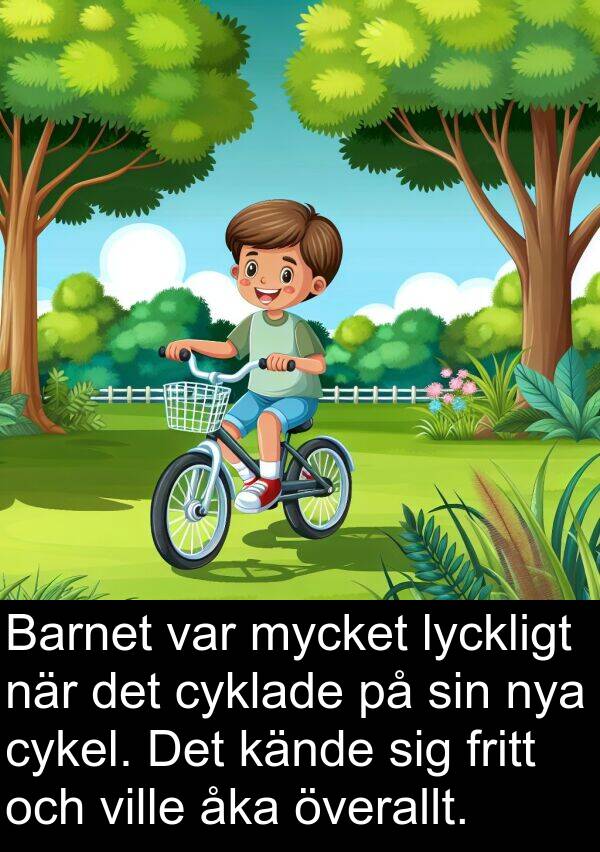 överallt: Barnet var mycket lyckligt när det cyklade på sin nya cykel. Det kände sig fritt och ville åka överallt.