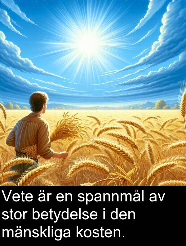 mänskliga: Vete är en spannmål av stor betydelse i den mänskliga kosten.