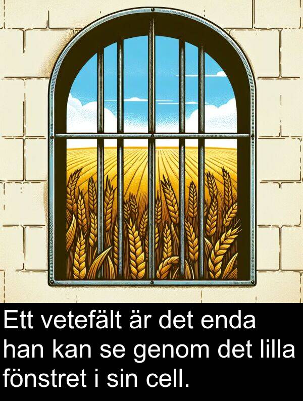 cell: Ett vetefält är det enda han kan se genom det lilla fönstret i sin cell.