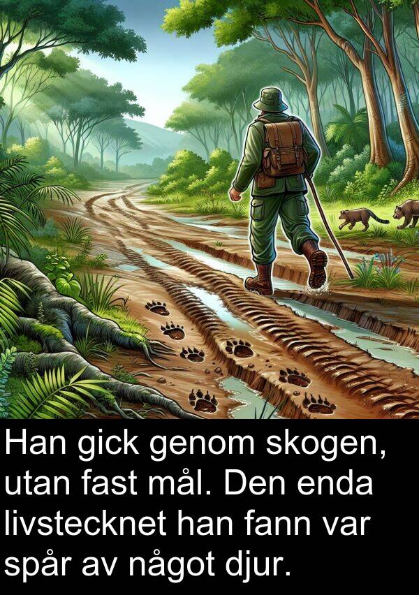 något: Han gick genom skogen, utan fast mål. Den enda livstecknet han fann var spår av något djur.