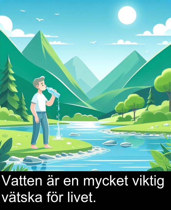 viktig: Vatten är en mycket viktig vätska för livet.