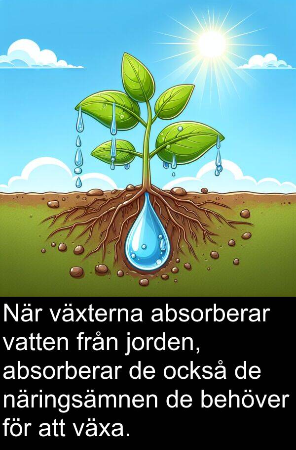 också: När växterna absorberar vatten från jorden, absorberar de också de näringsämnen de behöver för att växa.