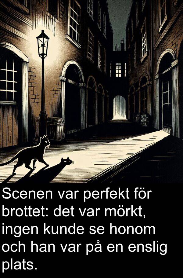 ingen: Scenen var perfekt för brottet: det var mörkt, ingen kunde se honom och han var på en enslig plats.
