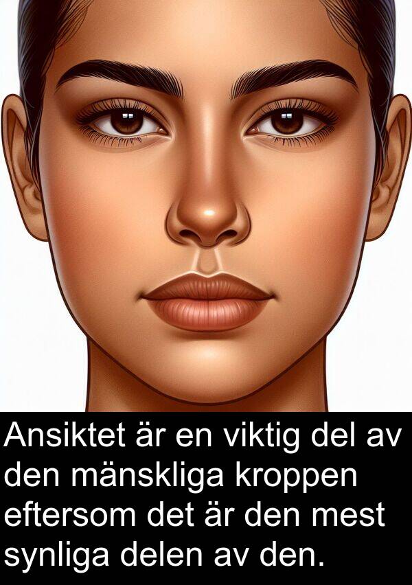 delen: Ansiktet är en viktig del av den mänskliga kroppen eftersom det är den mest synliga delen av den.