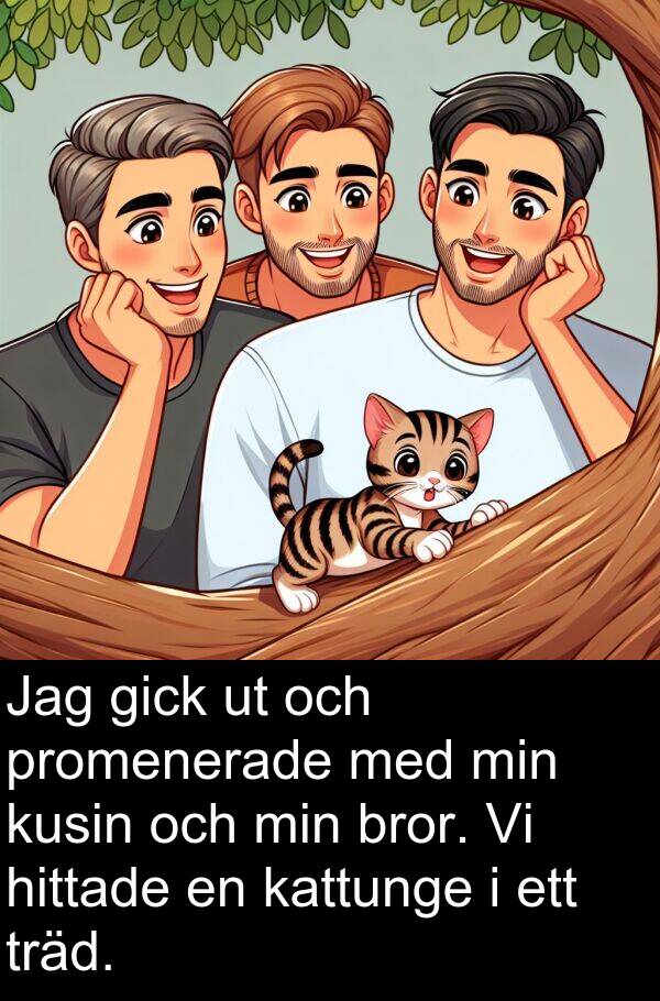 bror: Jag gick ut och promenerade med min kusin och min bror. Vi hittade en kattunge i ett träd.