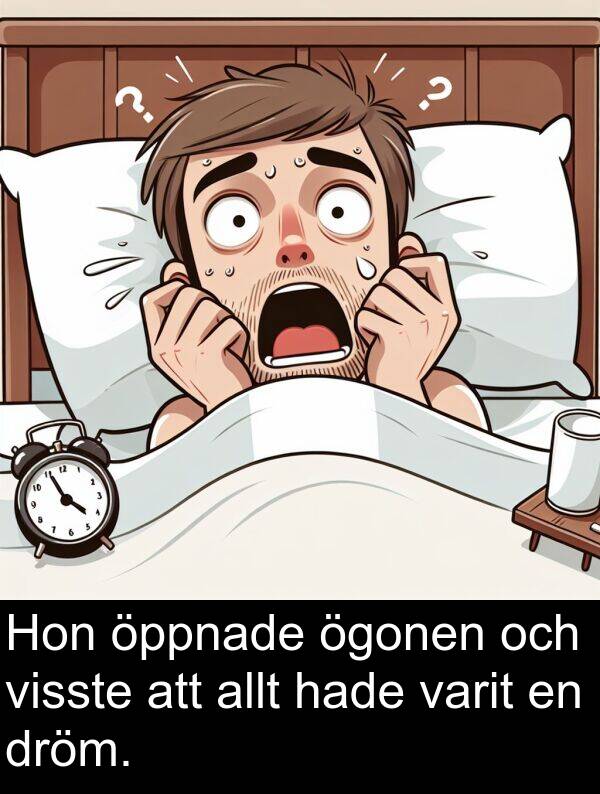 öppnade: Hon öppnade ögonen och visste att allt hade varit en dröm.