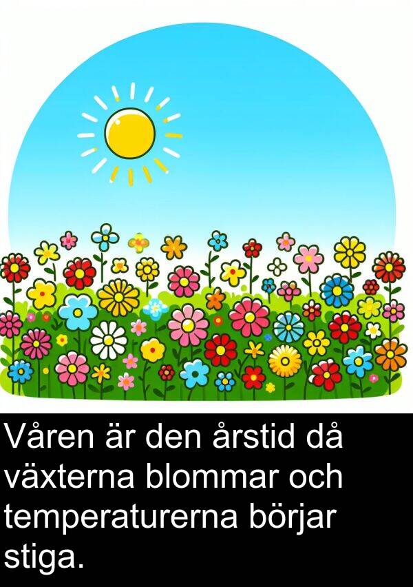 årstid: Våren är den årstid då växterna blommar och temperaturerna börjar stiga.