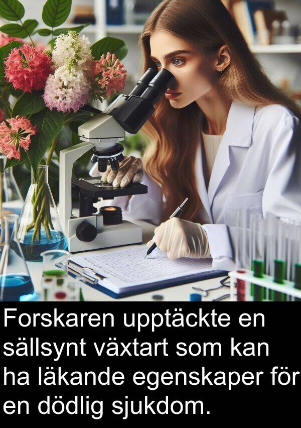 sällsynt: Forskaren upptäckte en sällsynt växtart som kan ha läkande egenskaper för en dödlig sjukdom.