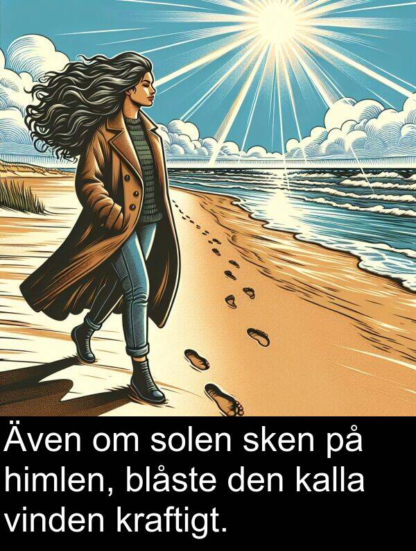 solen: Även om solen sken på himlen, blåste den kalla vinden kraftigt.
