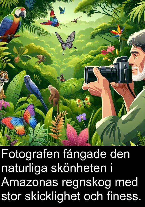 naturliga: Fotografen fångade den naturliga skönheten i Amazonas regnskog med stor skicklighet och finess.
