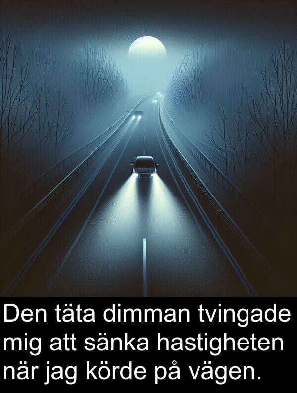 vägen: Den täta dimman tvingade mig att sänka hastigheten när jag körde på vägen.