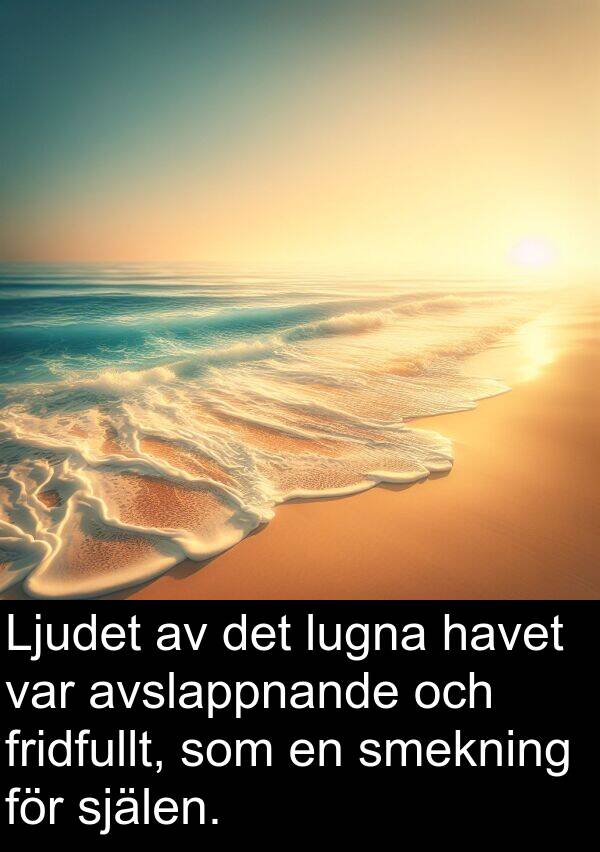 lugna: Ljudet av det lugna havet var avslappnande och fridfullt, som en smekning för själen.