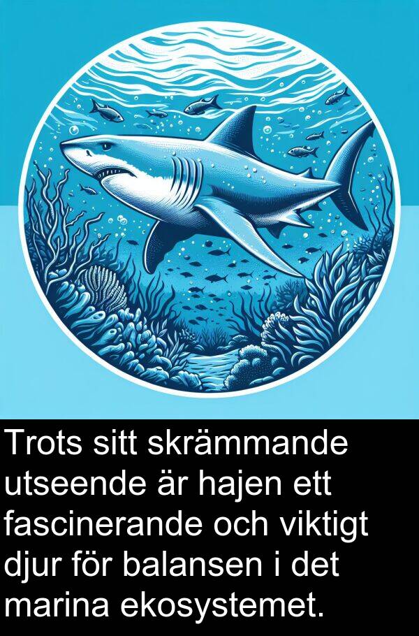 balansen: Trots sitt skrämmande utseende är hajen ett fascinerande och viktigt djur för balansen i det marina ekosystemet.