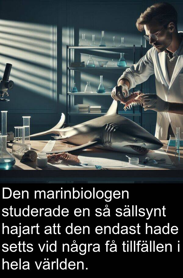 sällsynt: Den marinbiologen studerade en så sällsynt hajart att den endast hade setts vid några få tillfällen i hela världen.