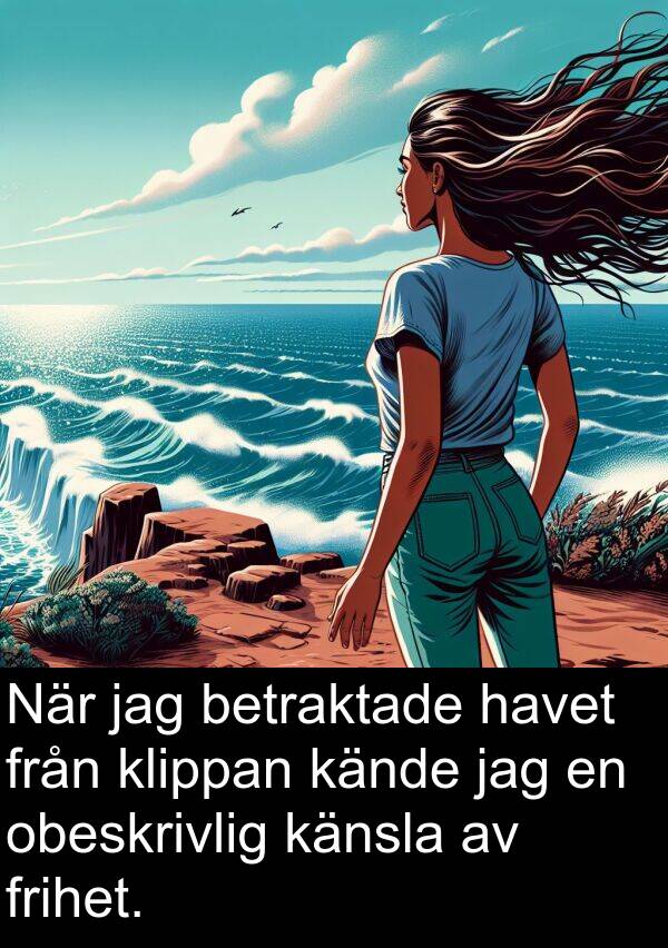 obeskrivlig: När jag betraktade havet från klippan kände jag en obeskrivlig känsla av frihet.