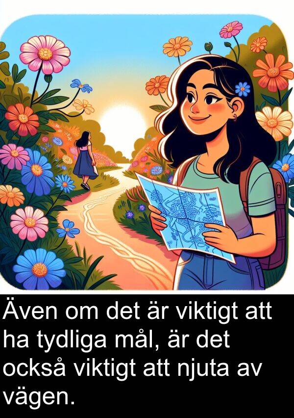 tydliga: Även om det är viktigt att ha tydliga mål, är det också viktigt att njuta av vägen.