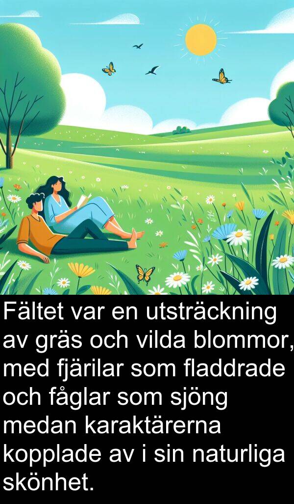 naturliga: Fältet var en utsträckning av gräs och vilda blommor, med fjärilar som fladdrade och fåglar som sjöng medan karaktärerna kopplade av i sin naturliga skönhet.