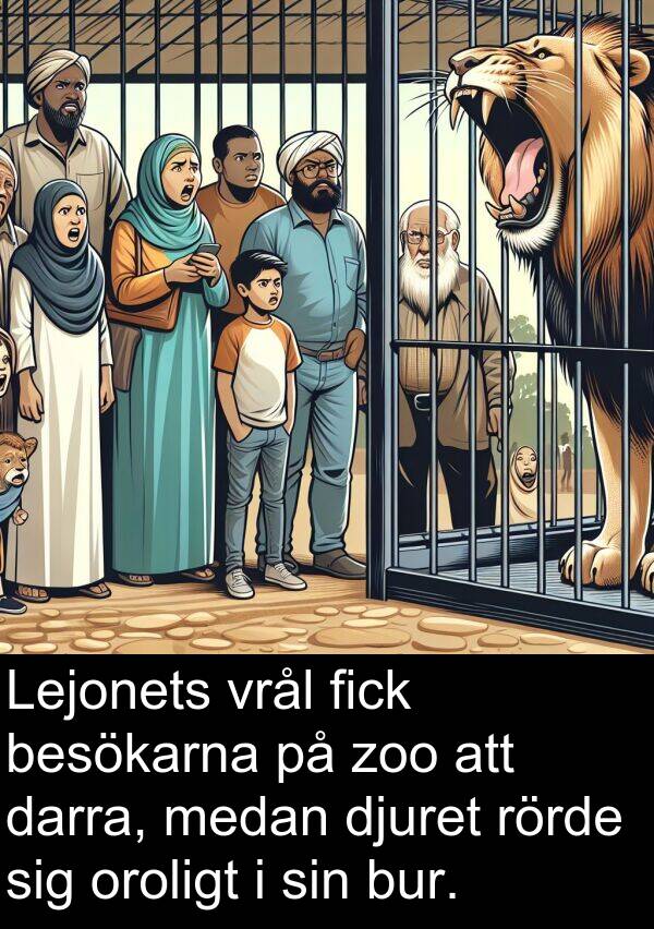 darra: Lejonets vrål fick besökarna på zoo att darra, medan djuret rörde sig oroligt i sin bur.